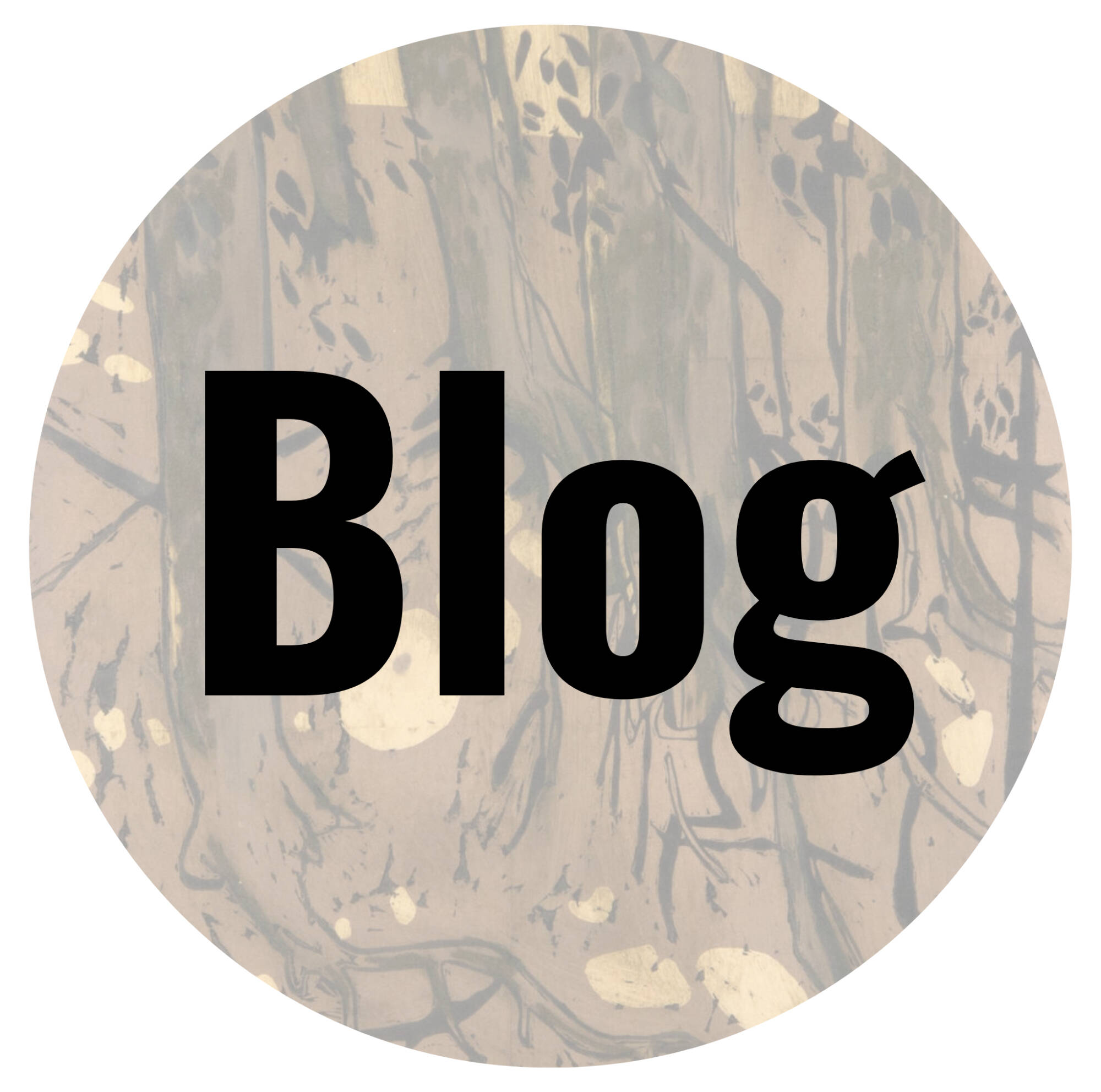 Click to read the blog, "Finding Inspiration from Nature: GVSU's Ravines"